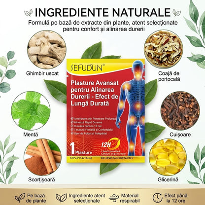 Plasturi naturali pentru alinarea durerii - Pain Relief